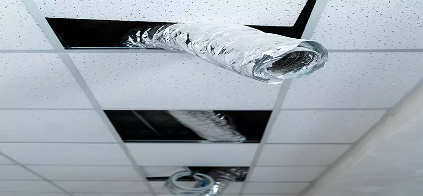 Our Air Duct Pet Hair Removal Services in Wilmington, MA