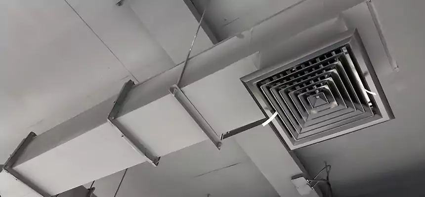 Our Rodent Droppings In Vents Services in Wilmington, MA