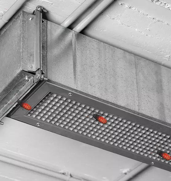 About Air Duct Cockroach Removal in Wilmington, MA