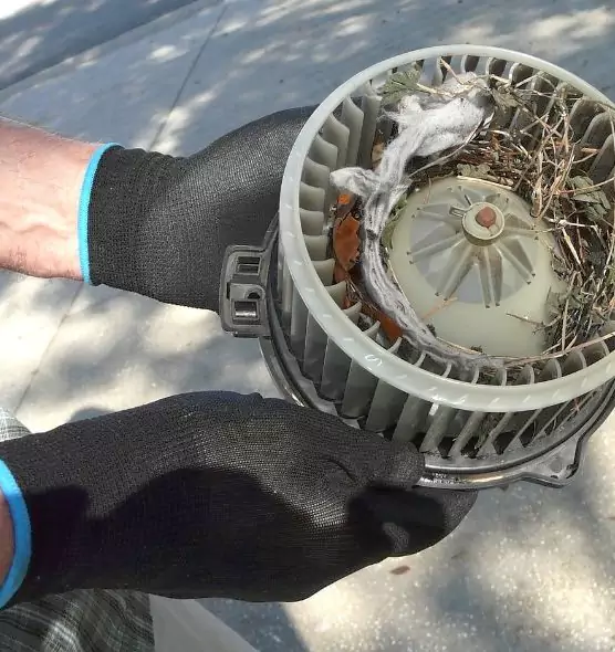 About Air Duct Mice Removal in Wilmington, MA