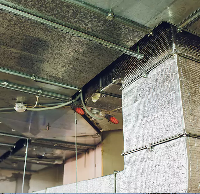 Why Homeowners & Businesses Trust Us in Wilmington, MA?