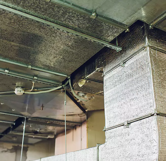 Why Homeowners & Businesses Trust Us in Wilmington, MA?